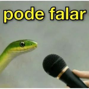 Pode falar